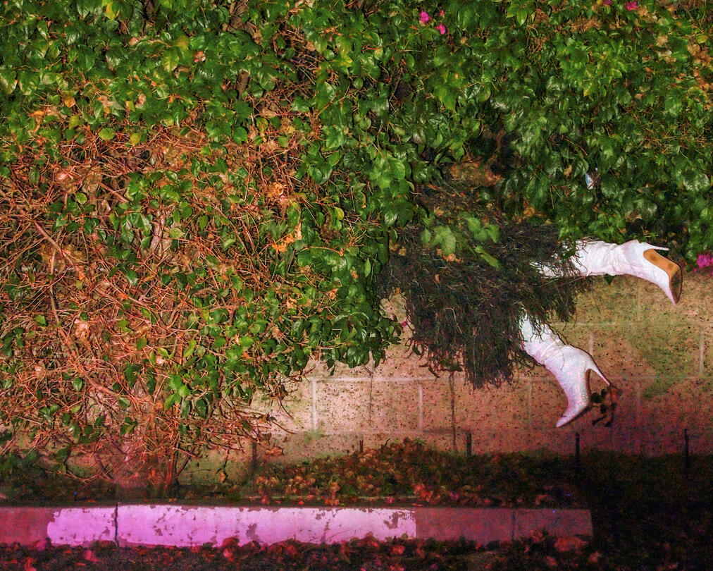 HEDGE YOUR BETS, 2022